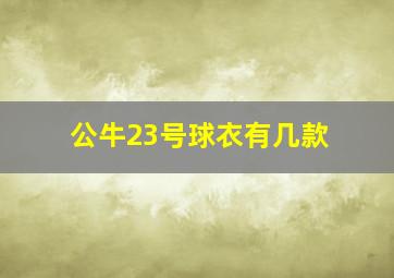 公牛23号球衣有几款