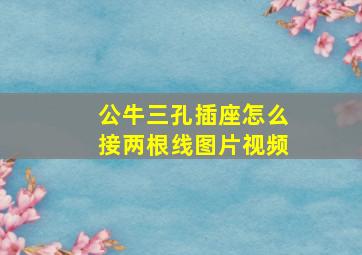 公牛三孔插座怎么接两根线图片视频