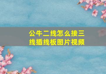 公牛二线怎么接三线插线板图片视频