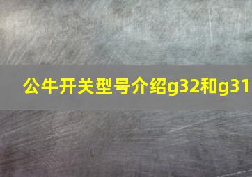 公牛开关型号介绍g32和g31