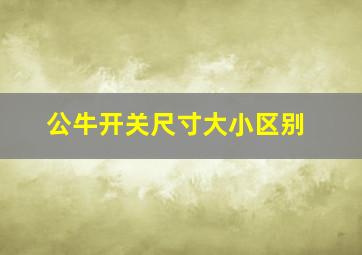 公牛开关尺寸大小区别