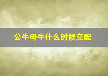 公牛母牛什么时候交配