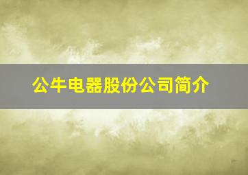 公牛电器股份公司简介