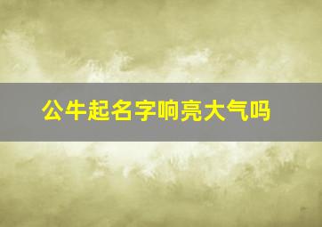 公牛起名字响亮大气吗