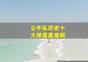 公牛队历史十大球星是谁啊