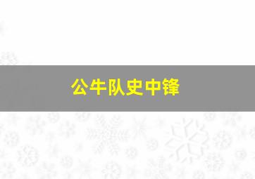 公牛队史中锋