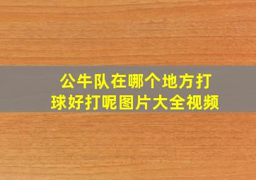 公牛队在哪个地方打球好打呢图片大全视频