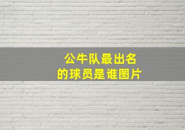 公牛队最出名的球员是谁图片