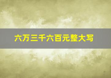 六万三千六百元整大写