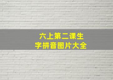 六上第二课生字拼音图片大全