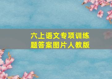 六上语文专项训练题答案图片人教版