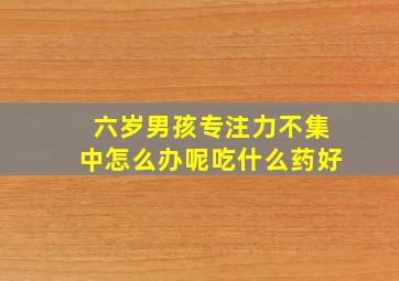 六岁男孩专注力不集中怎么办呢吃什么药好