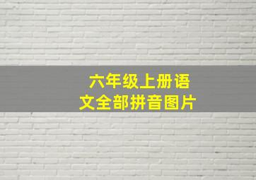 六年级上册语文全部拼音图片