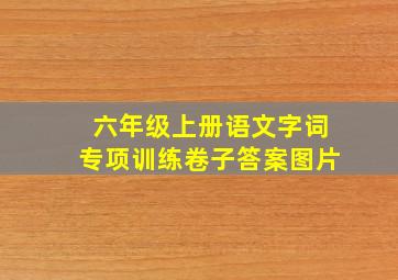 六年级上册语文字词专项训练卷子答案图片