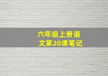 六年级上册语文笫20课笔记