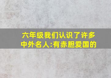 六年级我们认识了许多中外名人:有赤胆爱国的