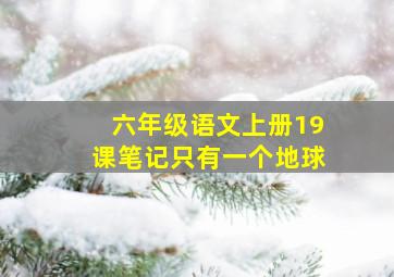 六年级语文上册19课笔记只有一个地球