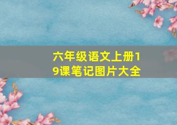 六年级语文上册19课笔记图片大全