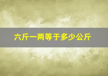 六斤一两等于多少公斤