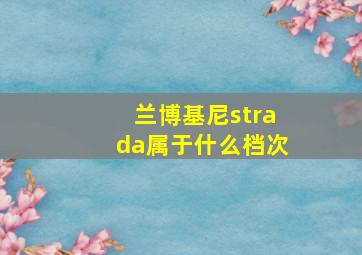 兰博基尼strada属于什么档次