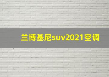 兰博基尼suv2021空调