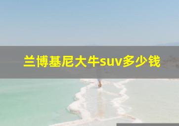 兰博基尼大牛suv多少钱