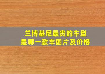 兰博基尼最贵的车型是哪一款车图片及价格