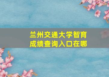 兰州交通大学智育成绩查询入口在哪