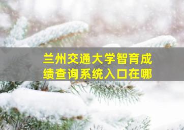 兰州交通大学智育成绩查询系统入口在哪