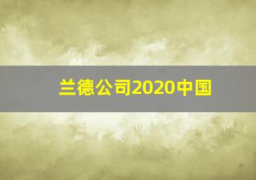 兰德公司2020中国