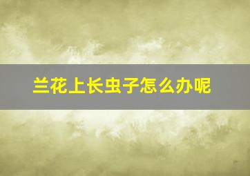 兰花上长虫子怎么办呢