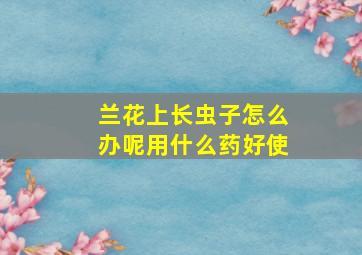 兰花上长虫子怎么办呢用什么药好使