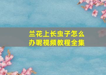 兰花上长虫子怎么办呢视频教程全集