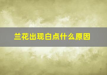 兰花出现白点什么原因