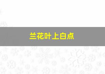 兰花叶上白点