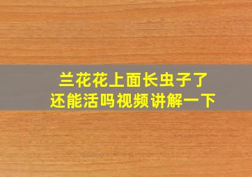 兰花花上面长虫子了还能活吗视频讲解一下