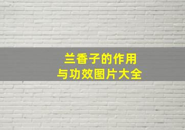 兰香子的作用与功效图片大全