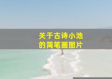 关于古诗小池的简笔画图片