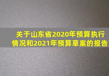 关于山东省2020年预算执行情况和2021年预算草案的报告