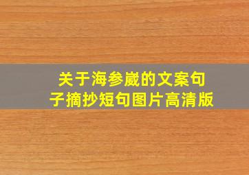 关于海参崴的文案句子摘抄短句图片高清版