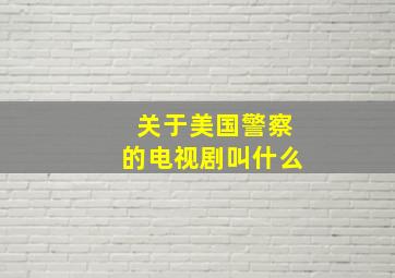 关于美国警察的电视剧叫什么