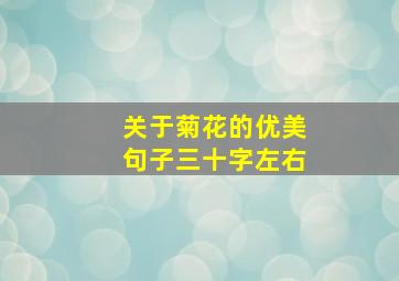 关于菊花的优美句子三十字左右