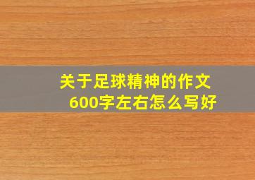 关于足球精神的作文600字左右怎么写好