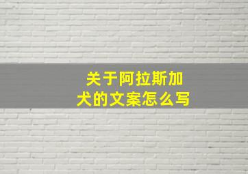 关于阿拉斯加犬的文案怎么写