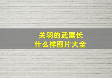 关羽的武器长什么样图片大全