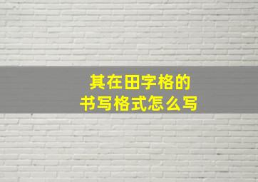 其在田字格的书写格式怎么写