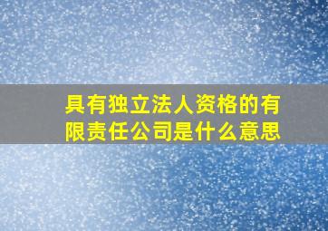 具有独立法人资格的有限责任公司是什么意思