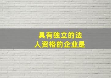 具有独立的法人资格的企业是