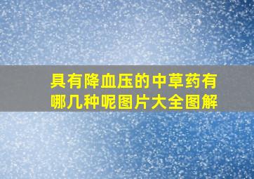 具有降血压的中草药有哪几种呢图片大全图解