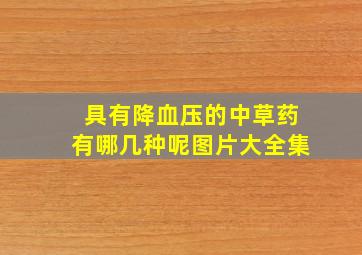 具有降血压的中草药有哪几种呢图片大全集